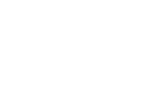 Pagrindinis ugdymo programa
